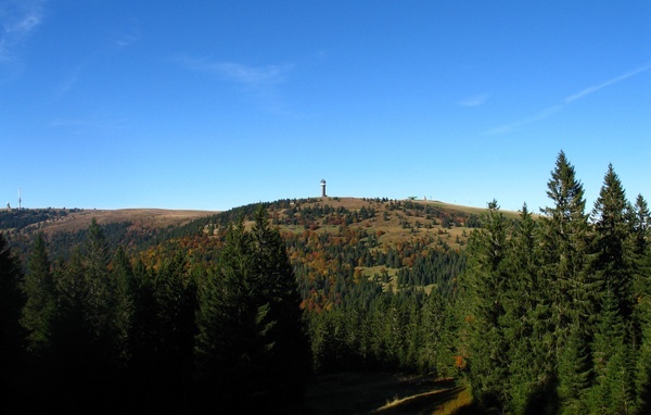 Dienstleistungen der Waldgenossenschaft