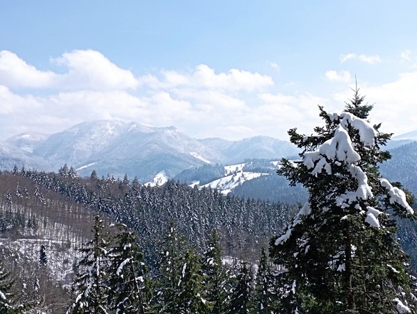 FBG Belchen- Neumagen