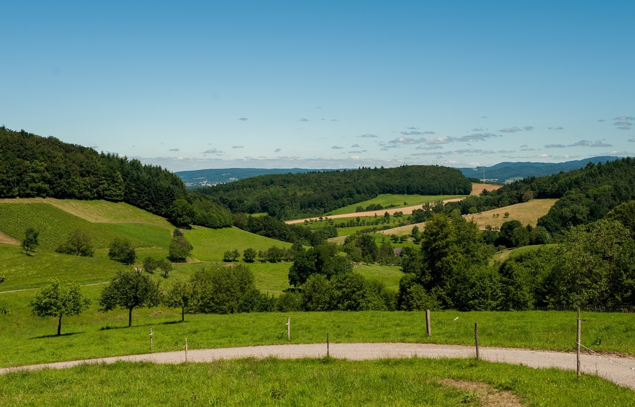 WaldGenossenschaft Breisgau-Hochschwarzwald